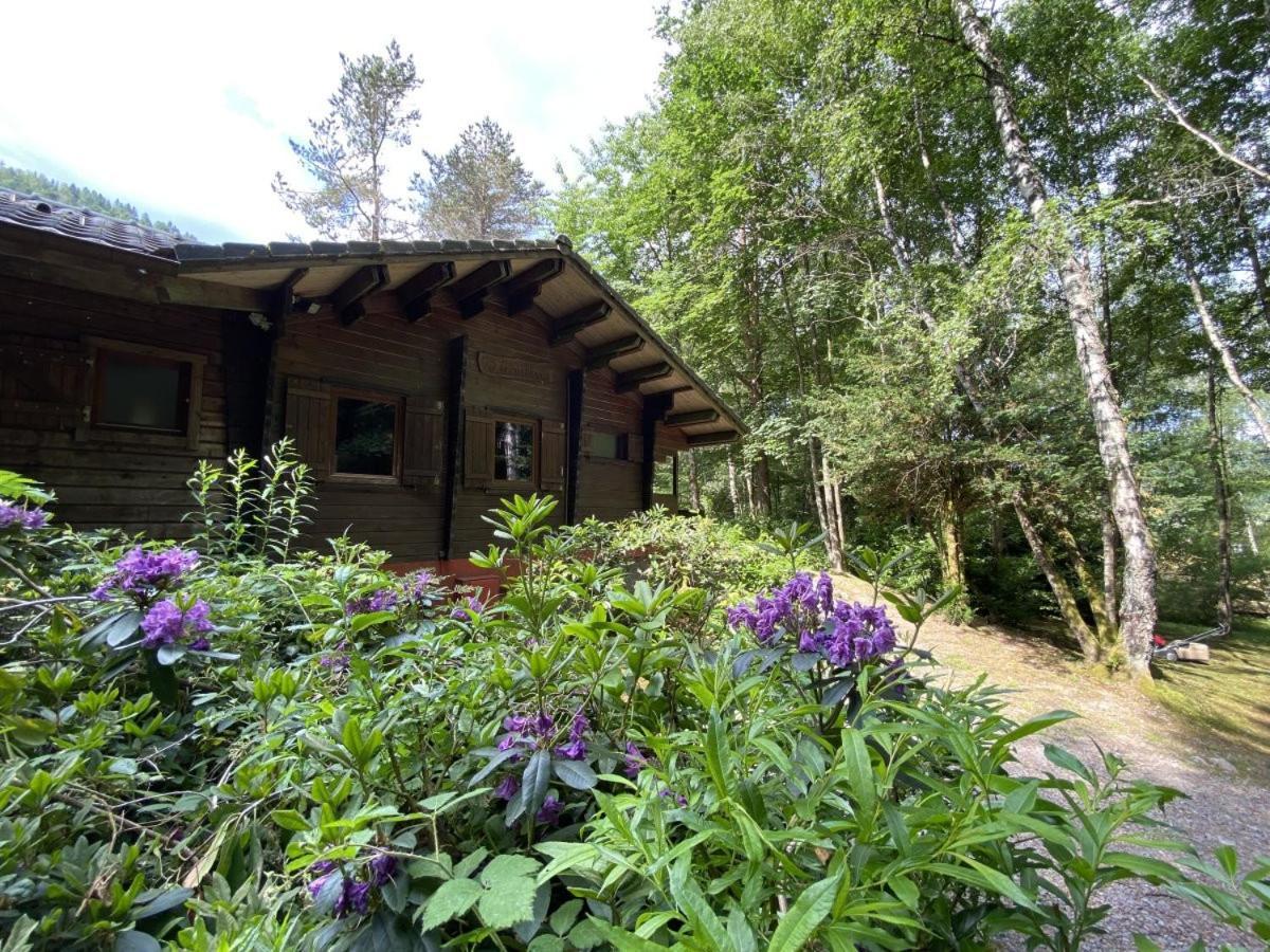 Le Fishing Lodge Chalet En Bois Avec Bain Nordique La Bresse Exterior photo